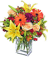 Lilies, Gerbera Daisies, and More
