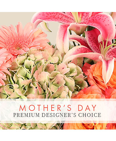 Designer's Choice – Winter Flowers – Art Florist & Gift Shoppe