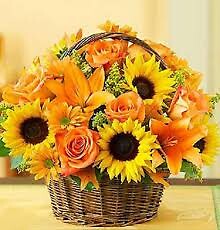 Basket of Sunshine