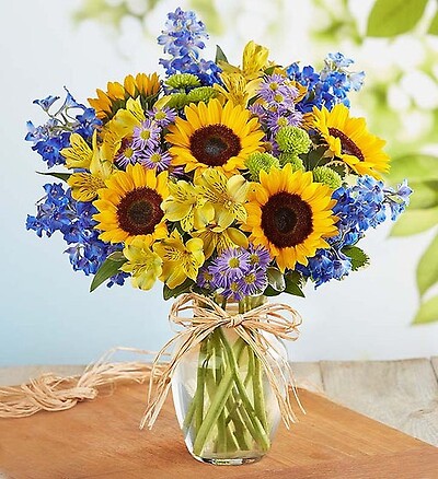 Amazing Sunflowers