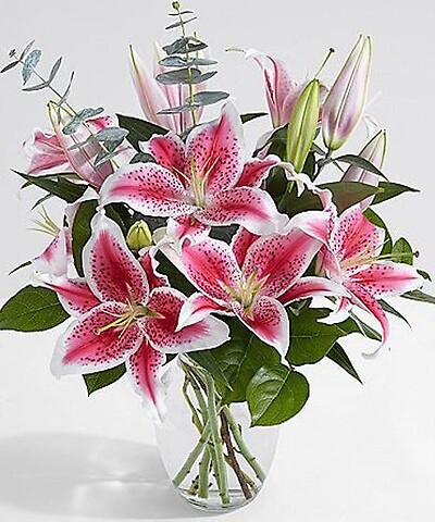 Delightfully Fragrant Lilies